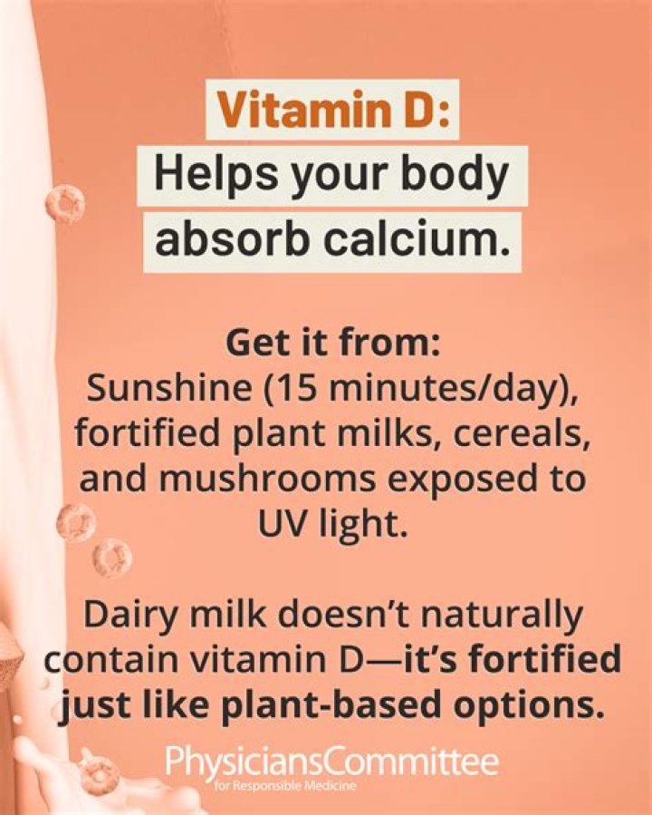 How much vitamin C can your body absorb in one day?