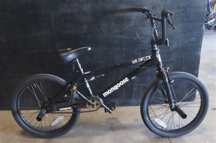 How much weight can a mongoose bike hold?
