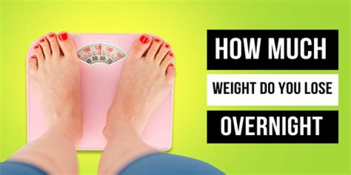 How much weight does the average woman lose overnight?