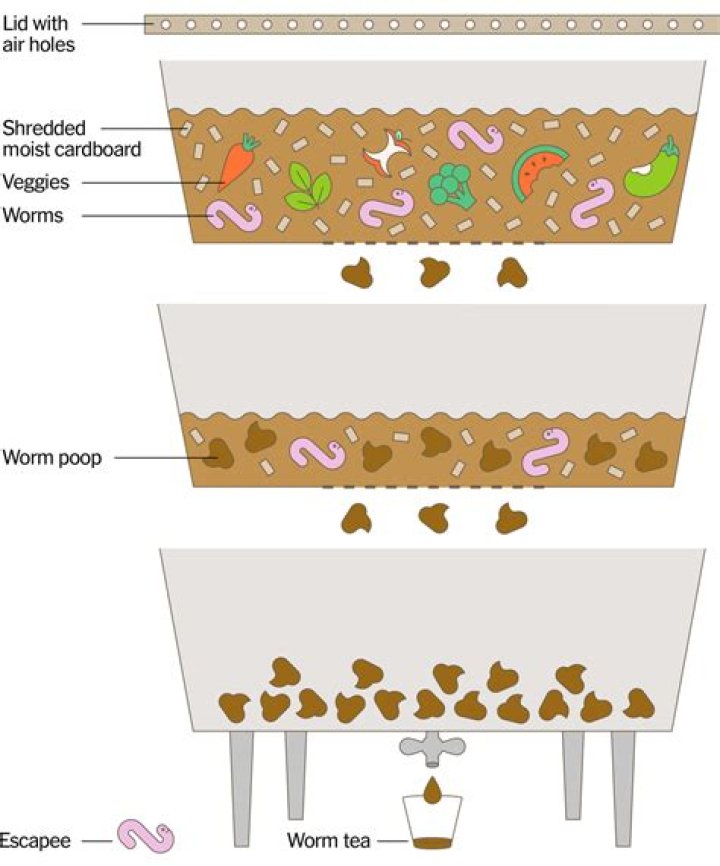 How often do I need to water my worm farm?