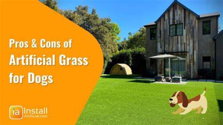 How often do you replace artificial grass for dogs?