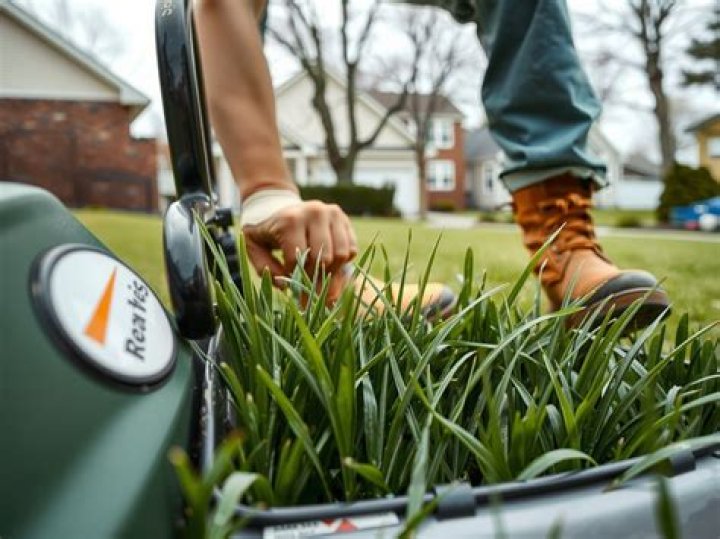 How often should I mow my lawn?