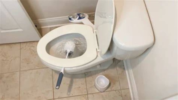 How often should you clean your toilet bowl?