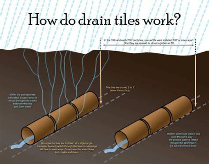 How old are clay drain pipes?