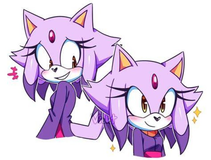 How old is Blaze the cat?