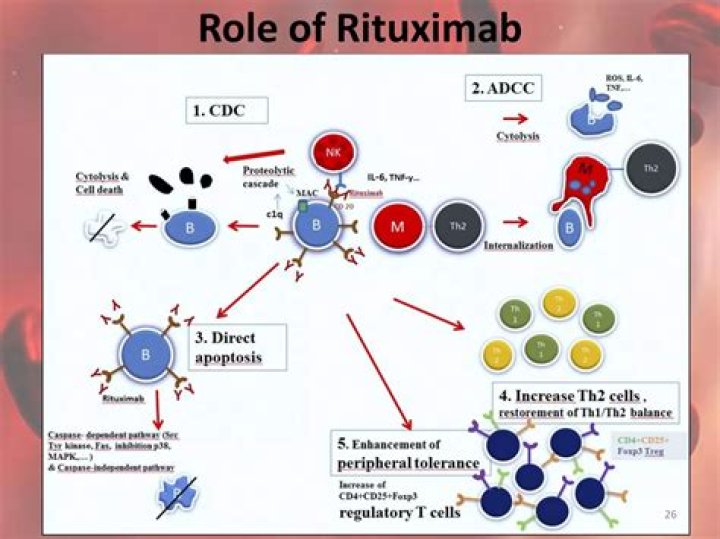 How old is rituximab?