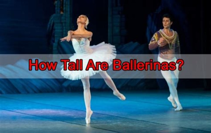 How tall do you have to be to be a ballet dancer?