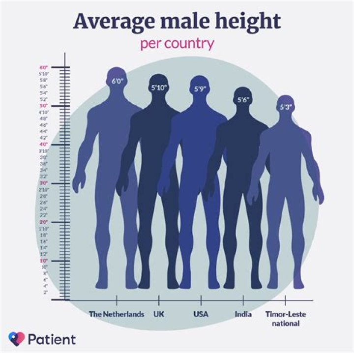 How tall is the average cyclist?