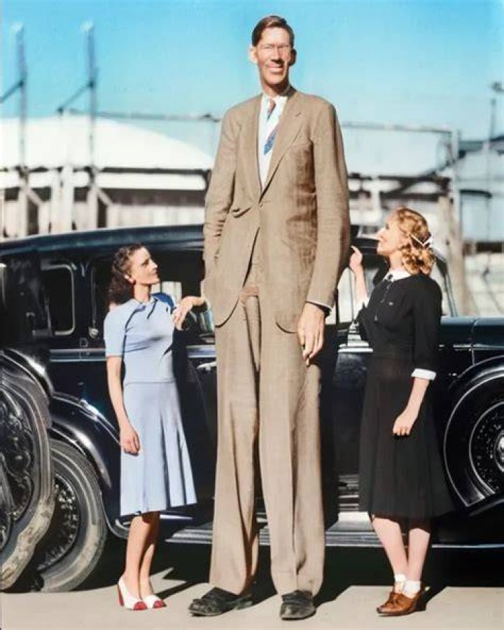 How tall is the first human?