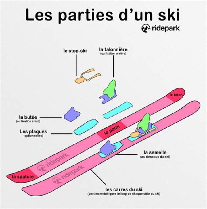 How thick is the base of a ski?