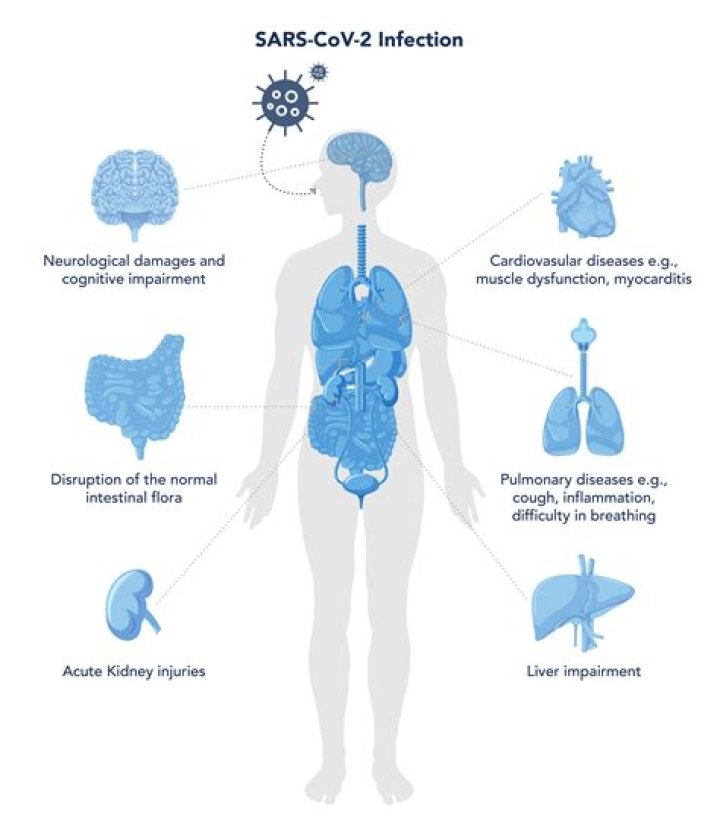 In what conditions does COVID-19 survive the longest?