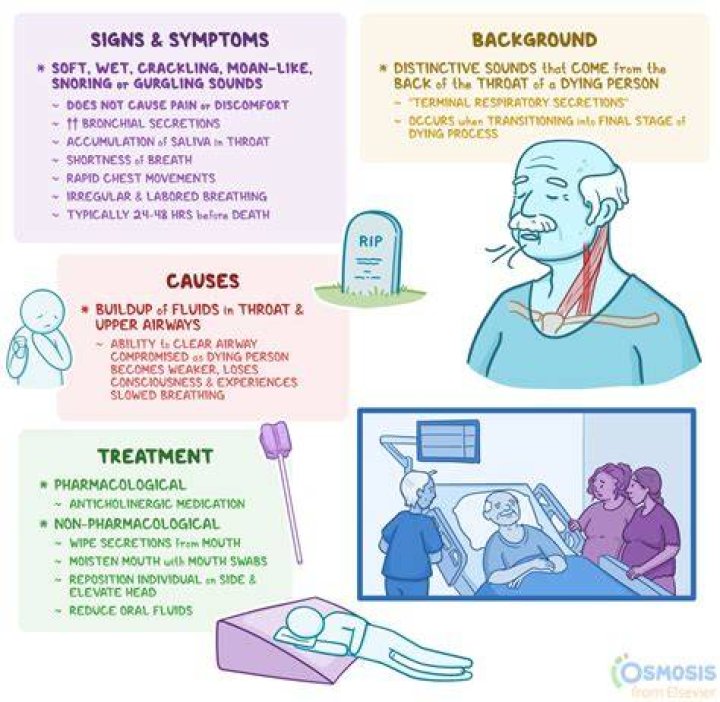 In what order do organs shut down when dying?