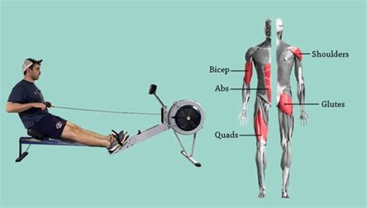 Is a rowing machine good for abs?