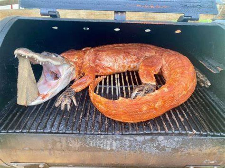 Is alligator meat edible?