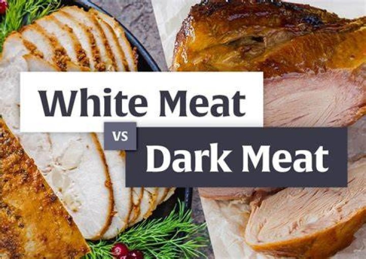 Is alligator white or dark meat?