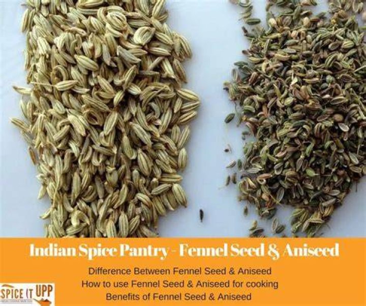 Is aniseed and fennel seed the same?