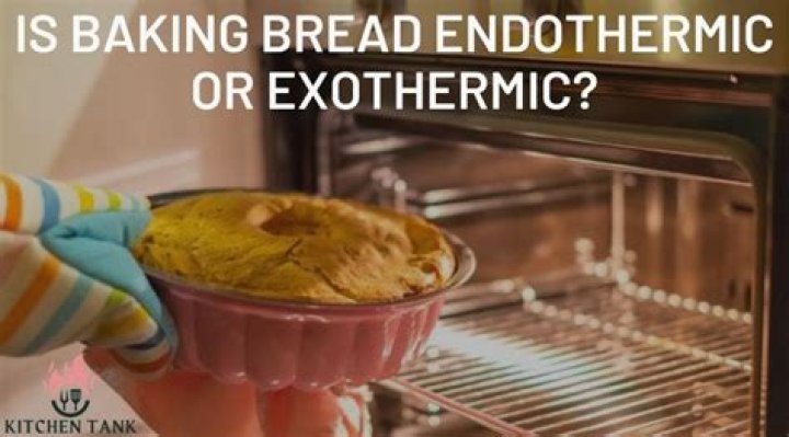 Is baking bread endothermic?