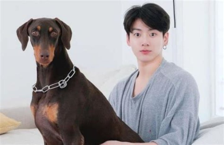 Is Bam Jungkook a dog?