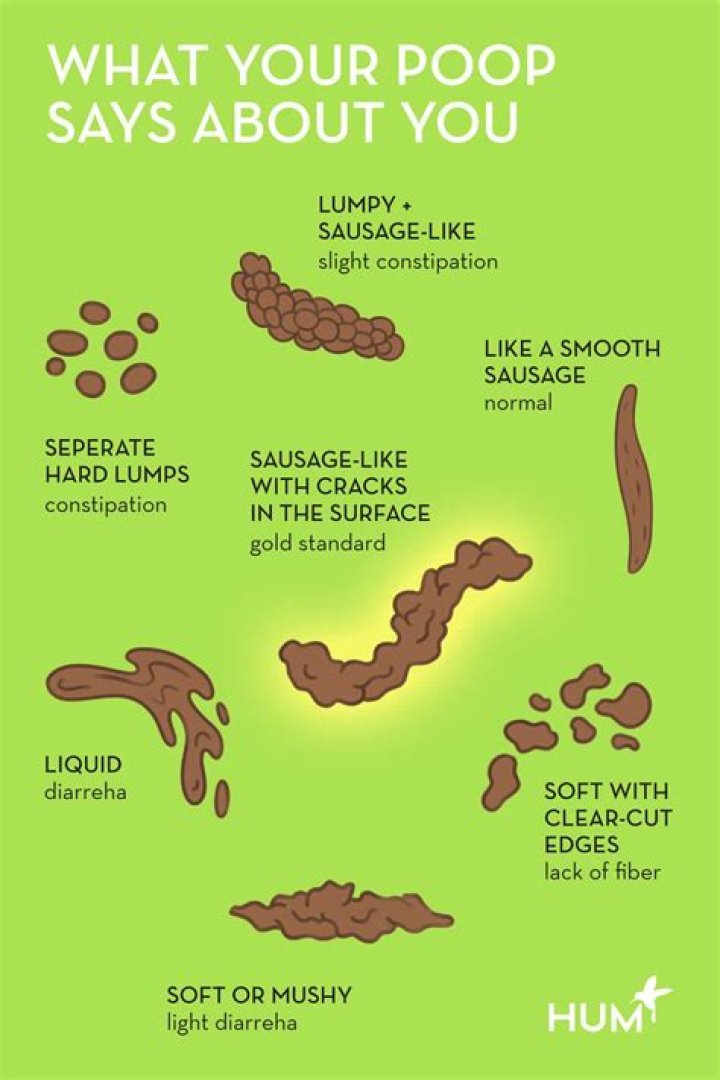 Is bat feces toxic to humans?