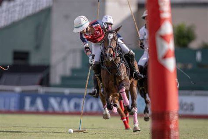 Is Bhpc real polo?