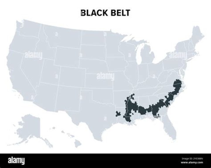 Is black belt the highest belt?