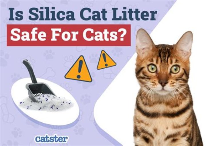 Is charcoal litter safe for cats?