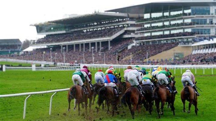 Is Cheltenham races on TV?