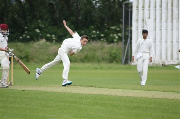 Is China interested in cricket?
