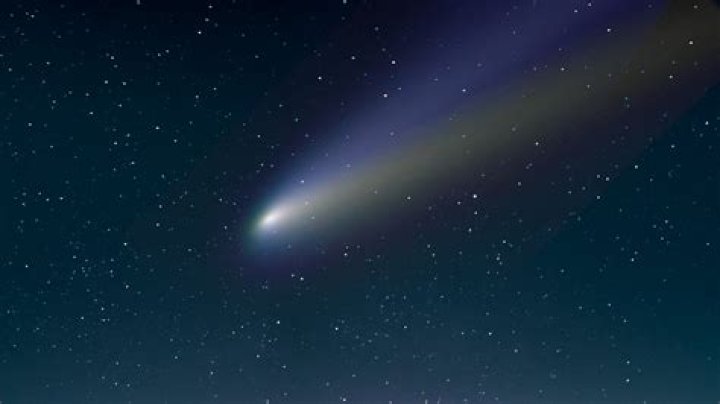 Is Comet toxic?