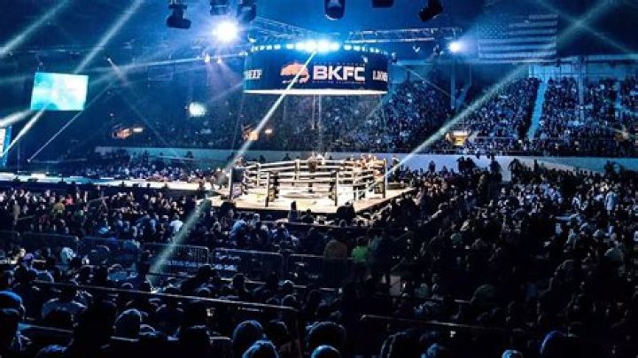 Is Corner Stoppage a TKO?