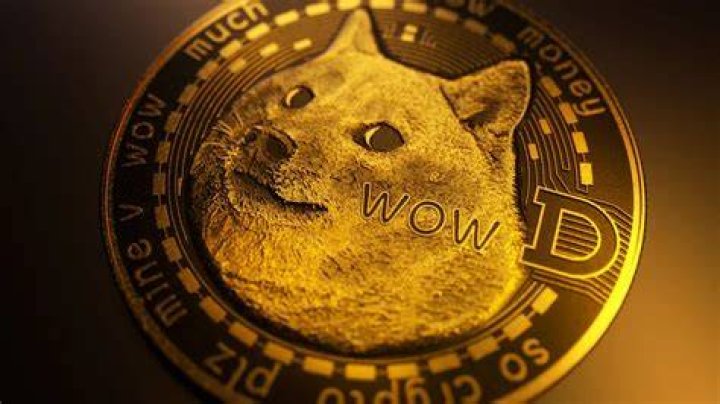 Is Dogecoin going to get big?