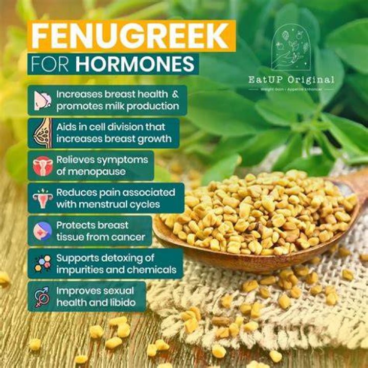 Is fenugreek good for uterus?