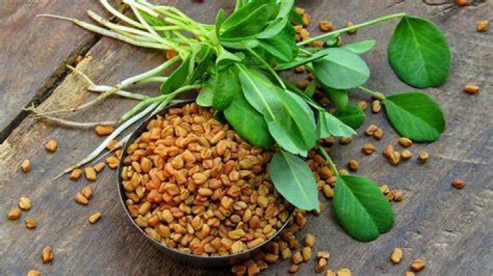 Is fenugreek harmful for liver?
