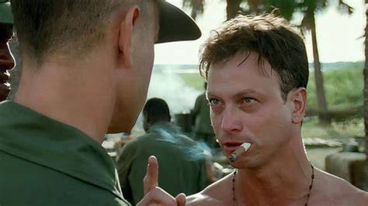 Is Gary Sinise a Vietnam vet?