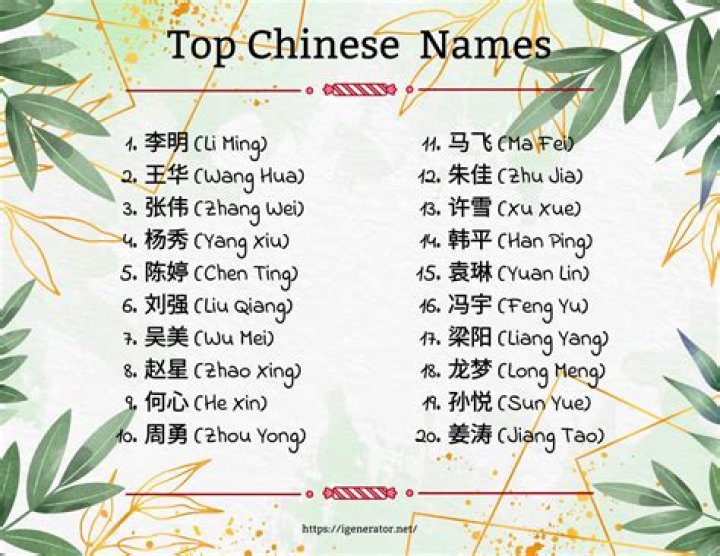Is Gu Chinese or American?