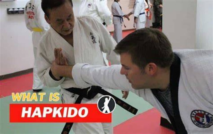 Is Hapkido similar to judo?