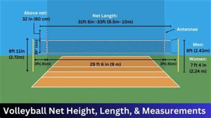 Is height important in volleyball?