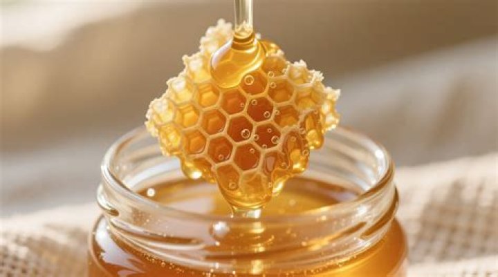 Is Honey Good for vomiting?