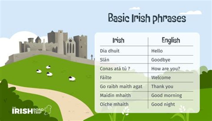 Is Irish still spoken in Ireland?