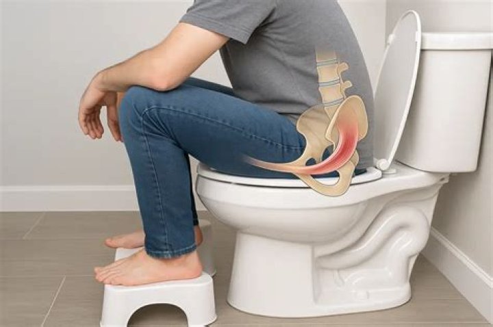 Is it better to use a potty or toilet?
