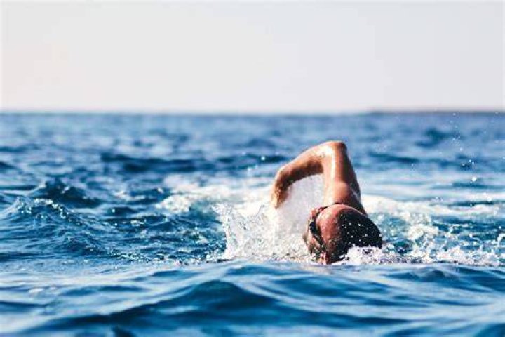 Is it easier to swim if you are fat?