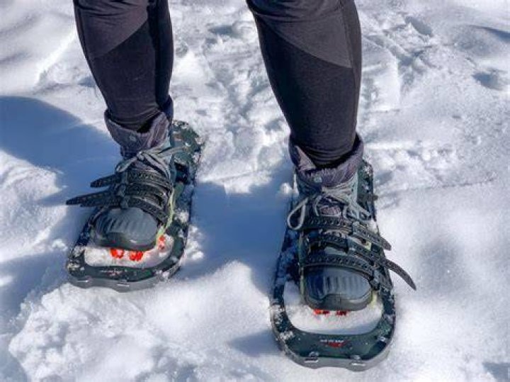 Is it easier to walk in snow with snowshoes?
