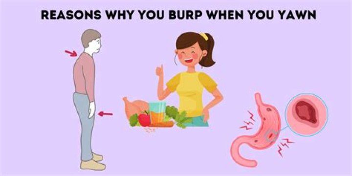 Is it good to burp?