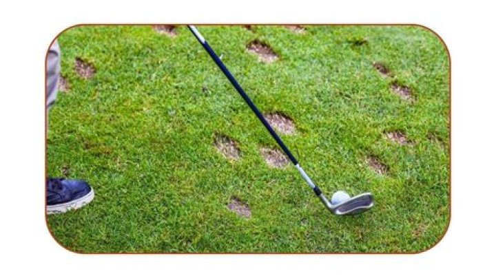 Is it necessary to take a divot in golf?