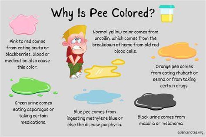 Is it normal to pee 20 times a day?