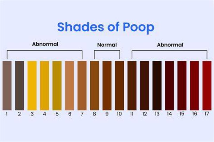Is it normal to poop out a whole pill?