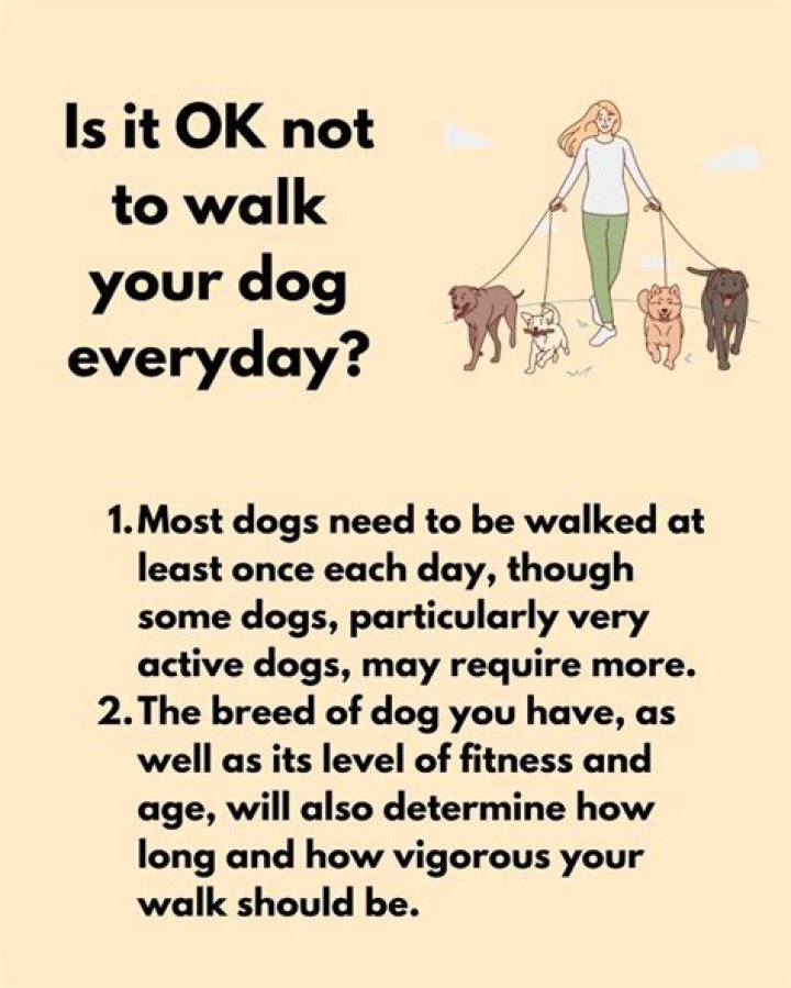 Is it OK not to walk your dog everyday?