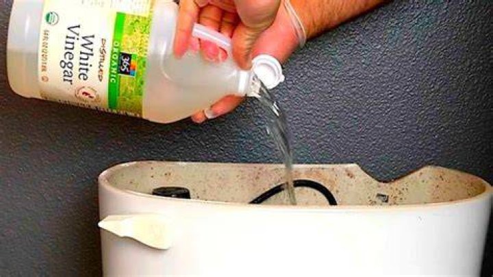 Is it OK to put vinegar in toilet tank?