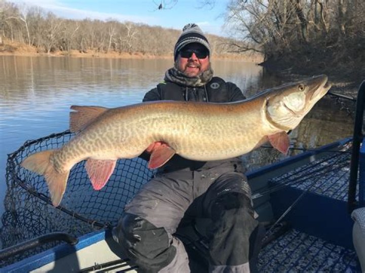 Is it safe to eat fish from the Susquehanna River?