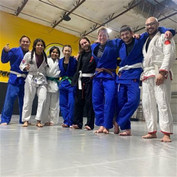 Is judo effective in real life?